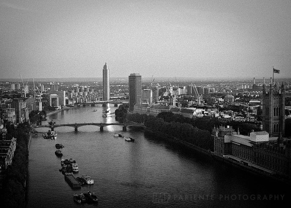 Eye view