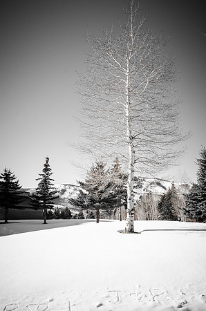 2014_Sundance-489