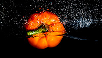 Liquid Art