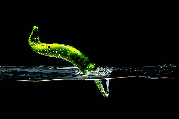 Liquid Art