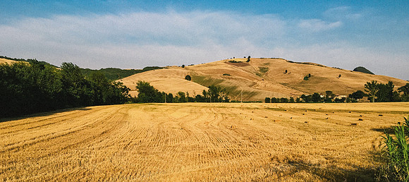 Volterra
