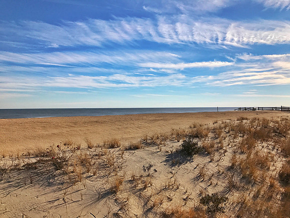 LBI