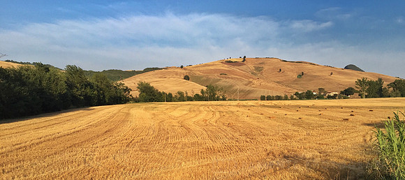 Volterra