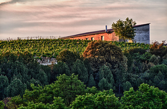 Villabuena de Alava, Rioja