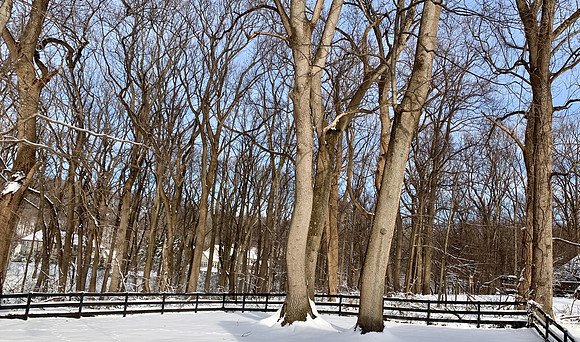 IMG_4423.JPG