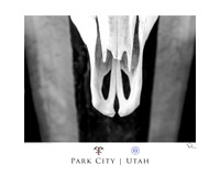 Park_City_Skull