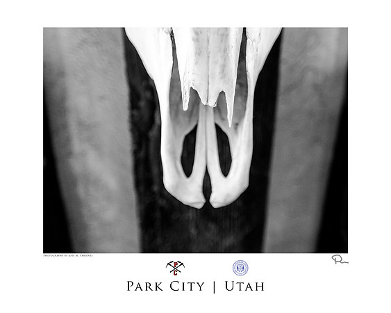 Park_City_Skull