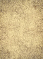 Concrete_Wall