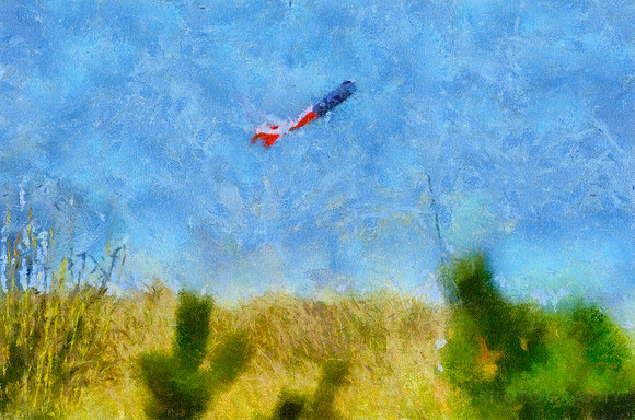 Flag on Beach